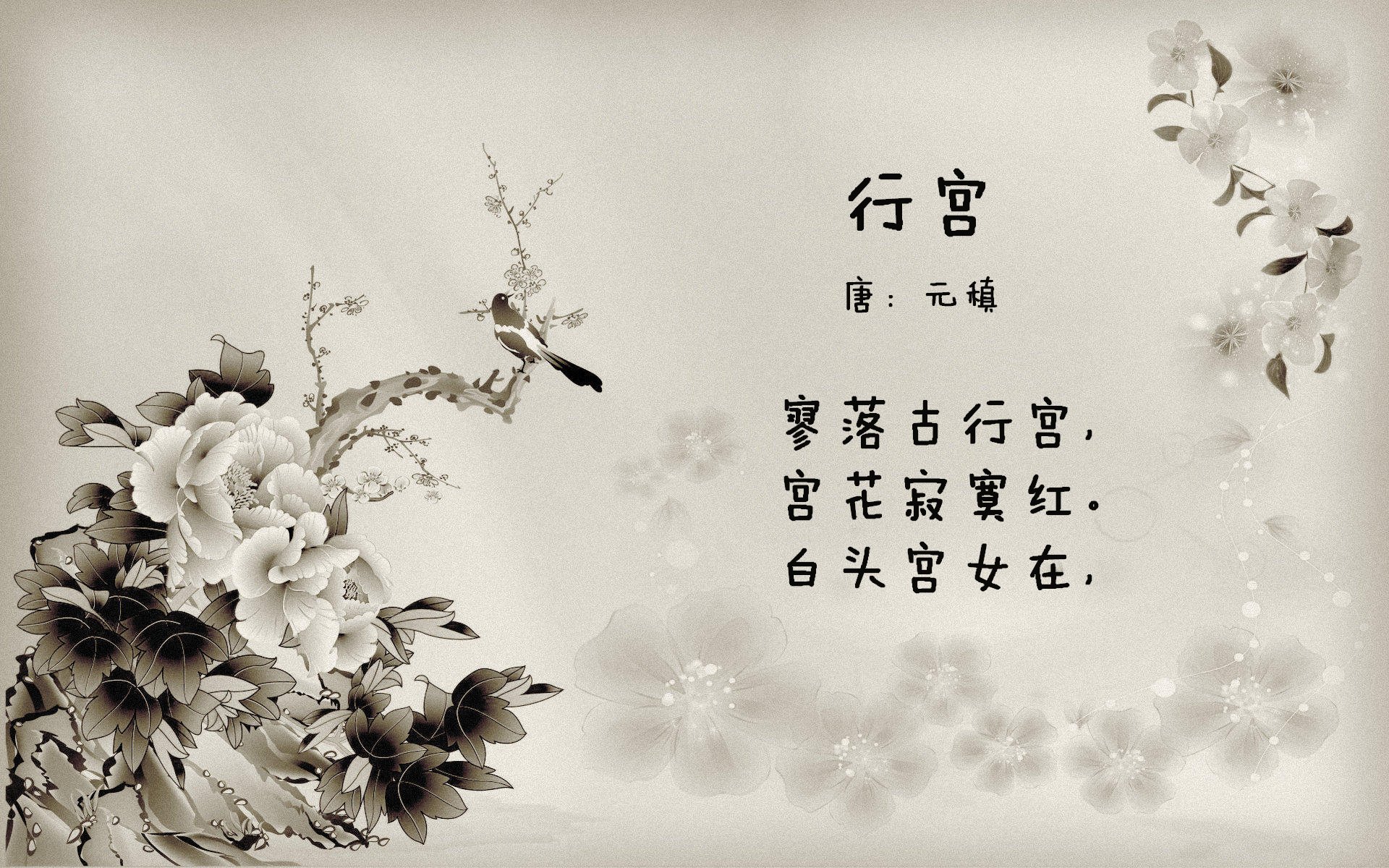 农村院子太阳能灯风水禁忌（农村院子太阳能灯风水禁忌图片）